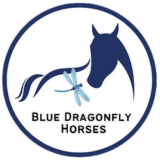 Blue Dragonfly Horses logo